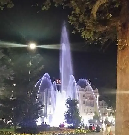 Shopen Mezonet * Varna